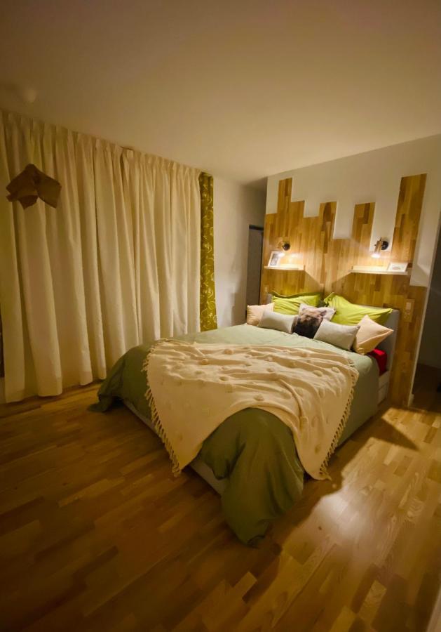 Nook. The Design Apartment Târgu-Mureş 外观 照片